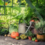 Eco-friendly landscaping ideas