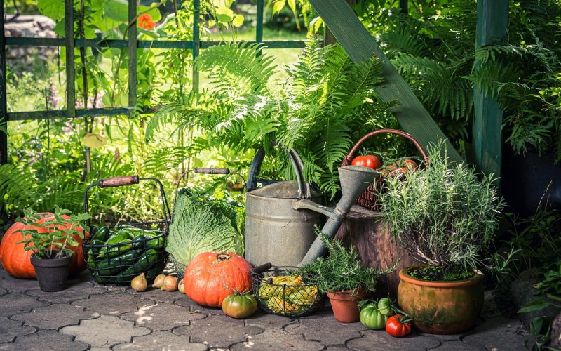 Eco-friendly landscaping ideas