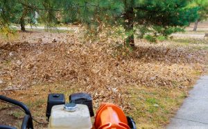 Battery vs. gas gardening tools