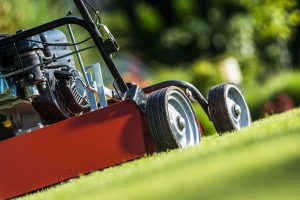 Electric vs. gas lawn equipment