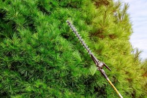 Gas-powered gardening tools