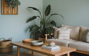 Eco-friendly living room with wooden furniture and plants