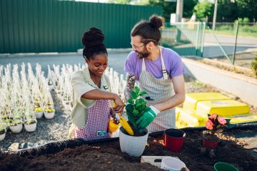 Eco-Friendly Gardening: Simple Tips for a Sustainable Green Space