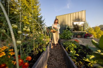 Growing Your Own Greens: A Beginner’s Guide to Vegetable & Herb Gardens